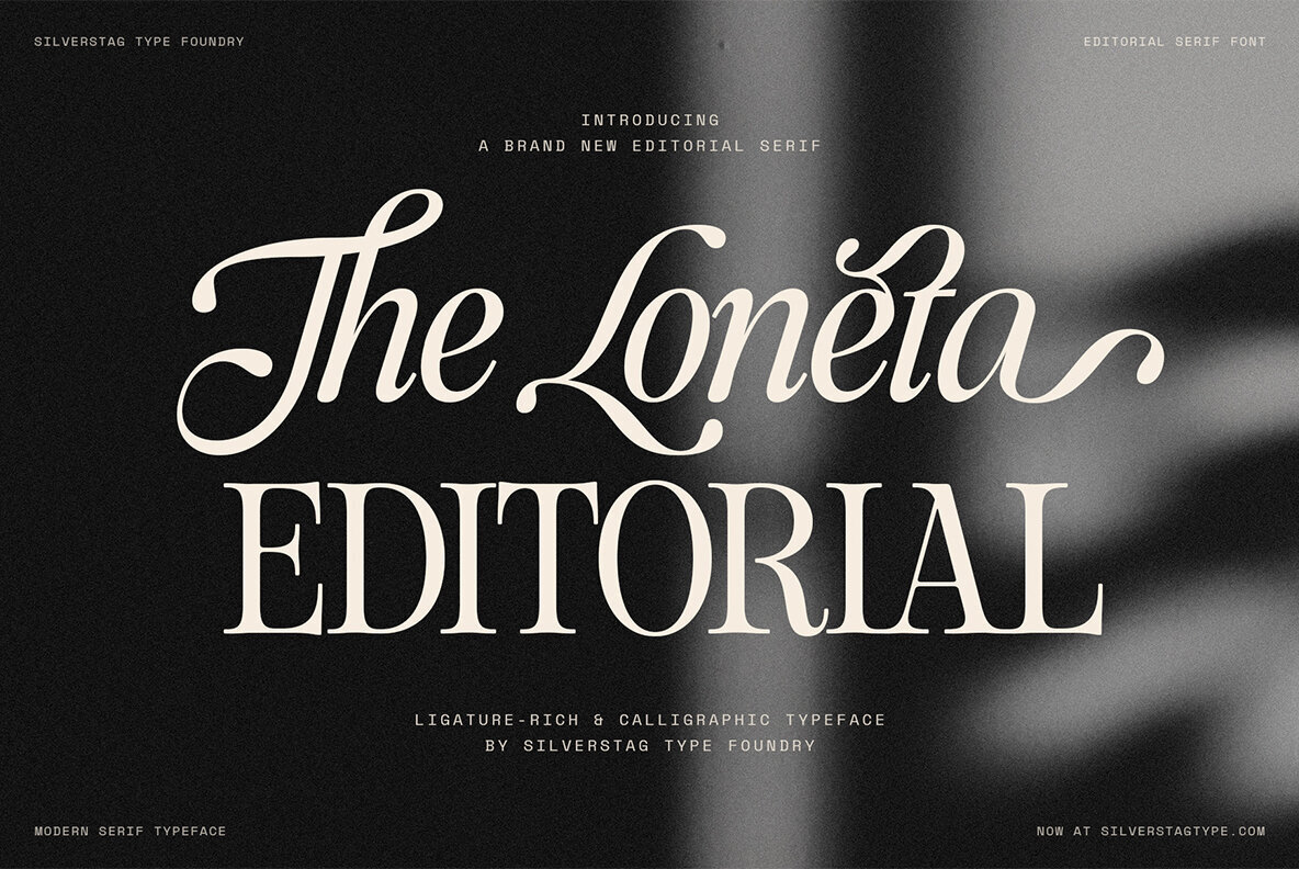 SLTF The Loneta Editorial Font - YouWorkForThem