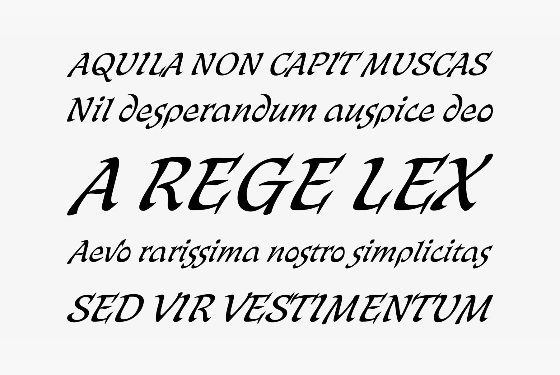 Bogdan Rejestrowy Cursive 5