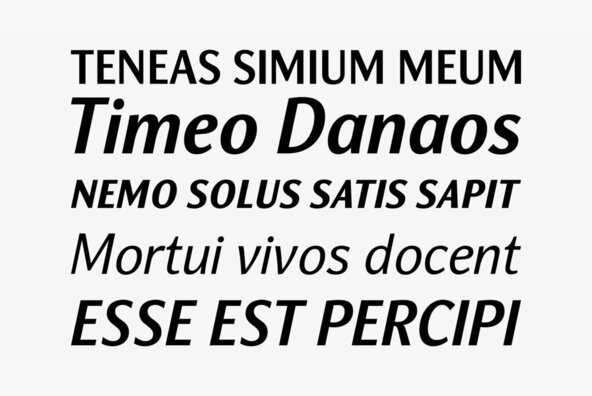 Nat Grotesk Nat Grotesk