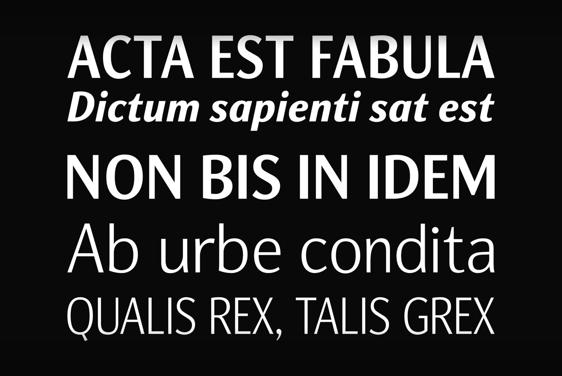 Nat Grotesk 6