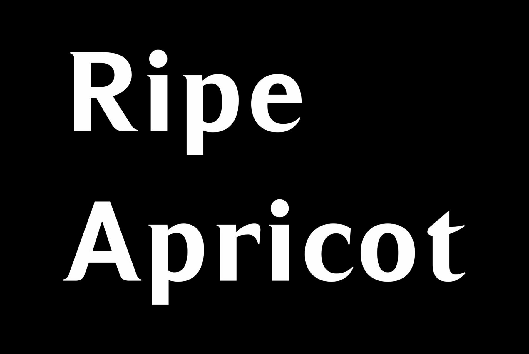 Ripe Apricot 1