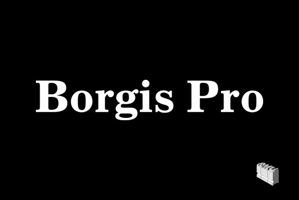 Borgis Pro Font
