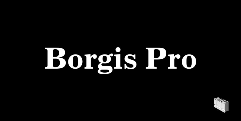 Borgis Pro