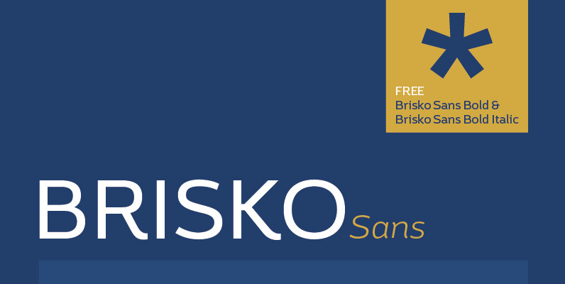 Brisko Sans