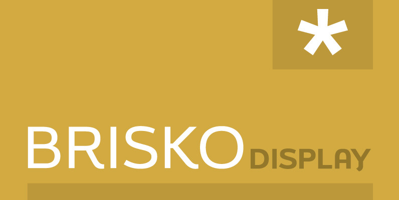 Brisko Display