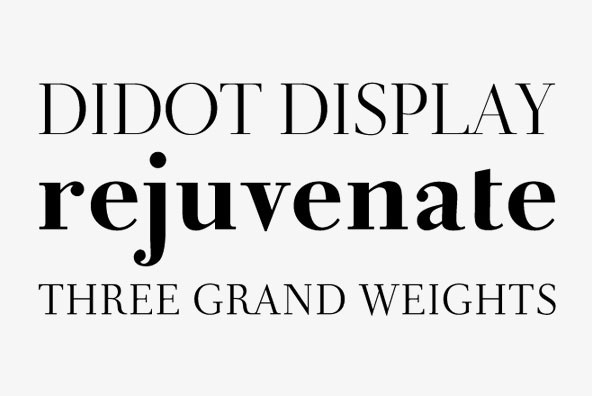 Didot Display Didot Display