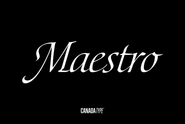 Maestro Maestro