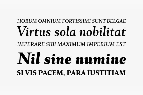 Ines Ines