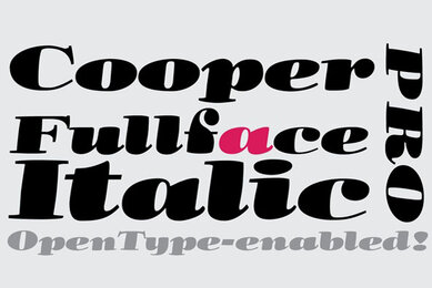 Cooper Fullface Italic Pro
