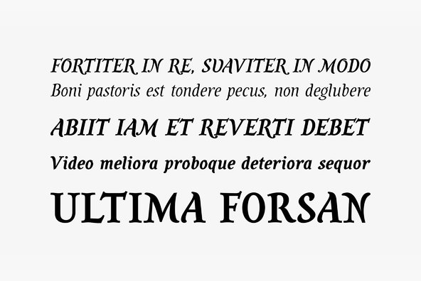 Savour Pro Savour Pro