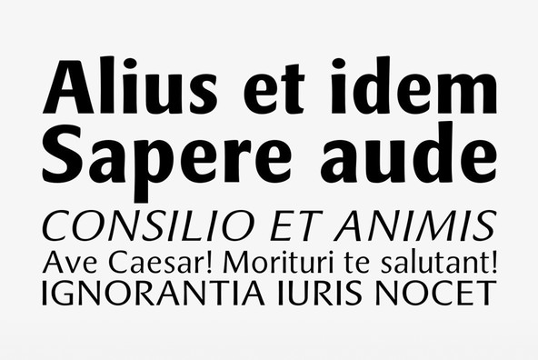 Bravura Pro Bravura Pro