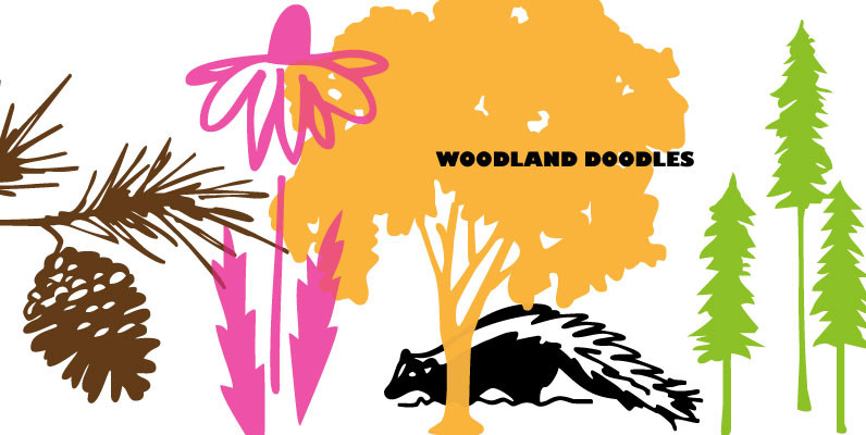 Woodland Doodles