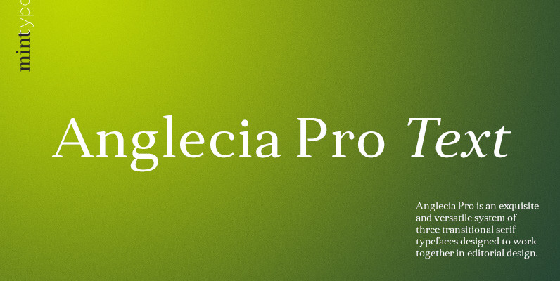 Anglecia Pro Text