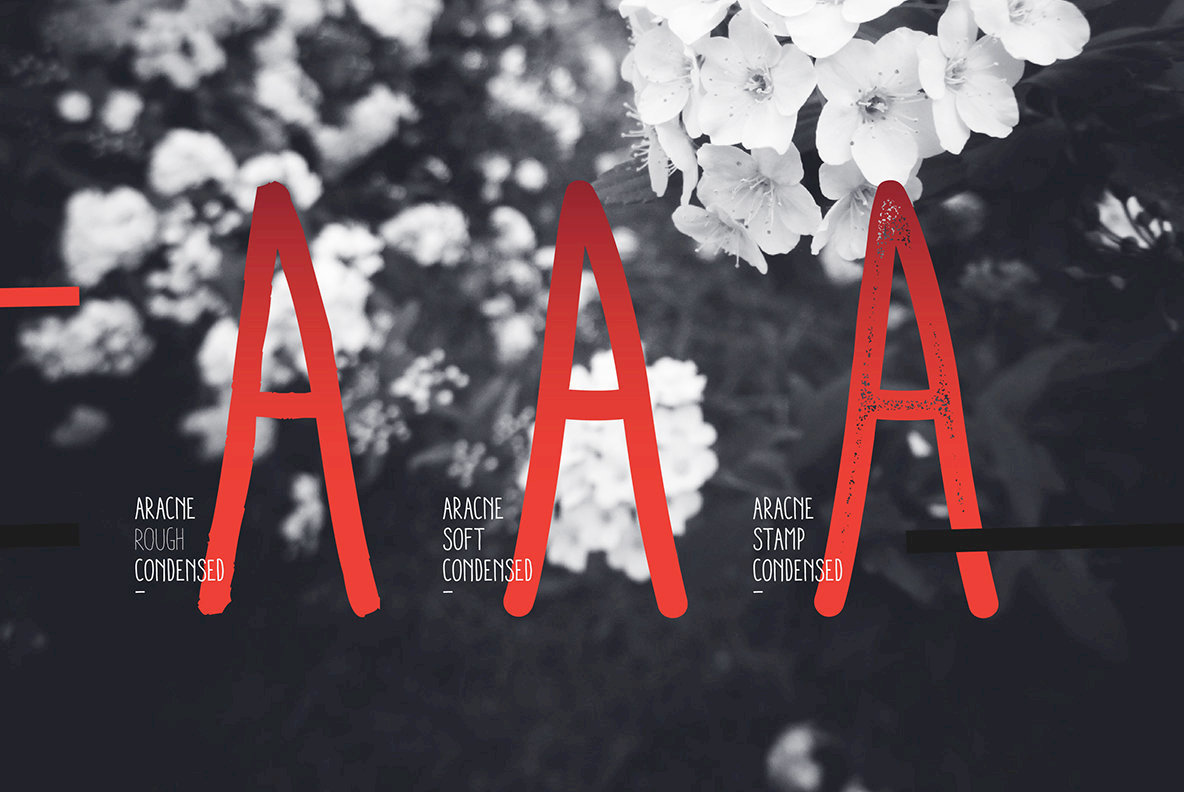 Aracne Condensed Aracne Condensed