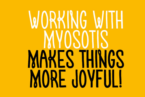 Myosotis Myosotis