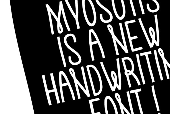 Myosotis Myosotis