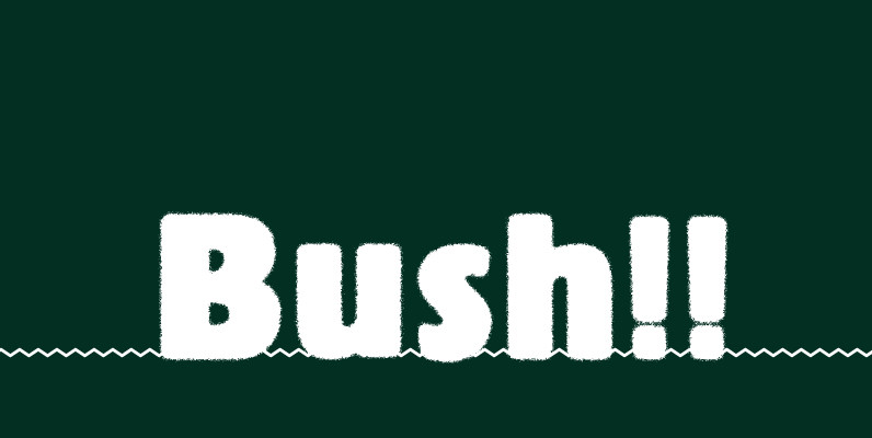 Bush