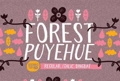 Forest Puyehue