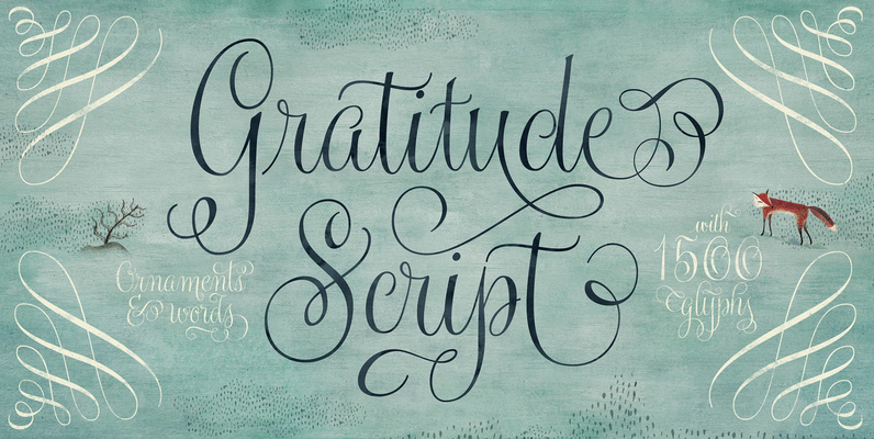 Gratitude Script