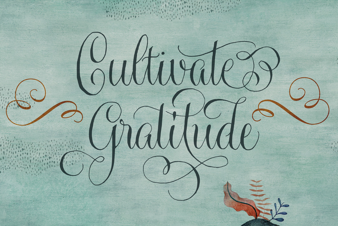 Gratitude Script Gratitude Script