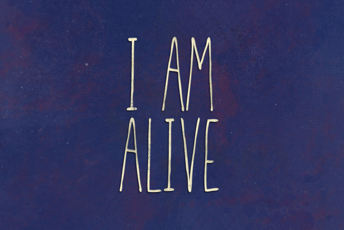 The Script Fonts Collection The Script Fonts Collection