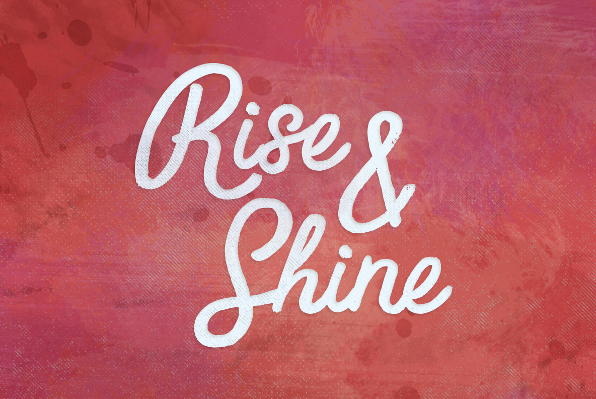 The Script Fonts Collection The Script Fonts Collection