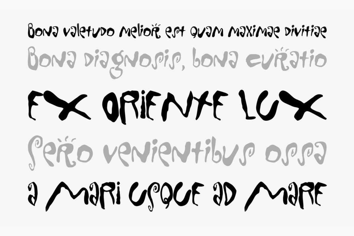 Mondo Loose Mondo Loose