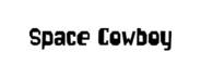 Space Cowboy