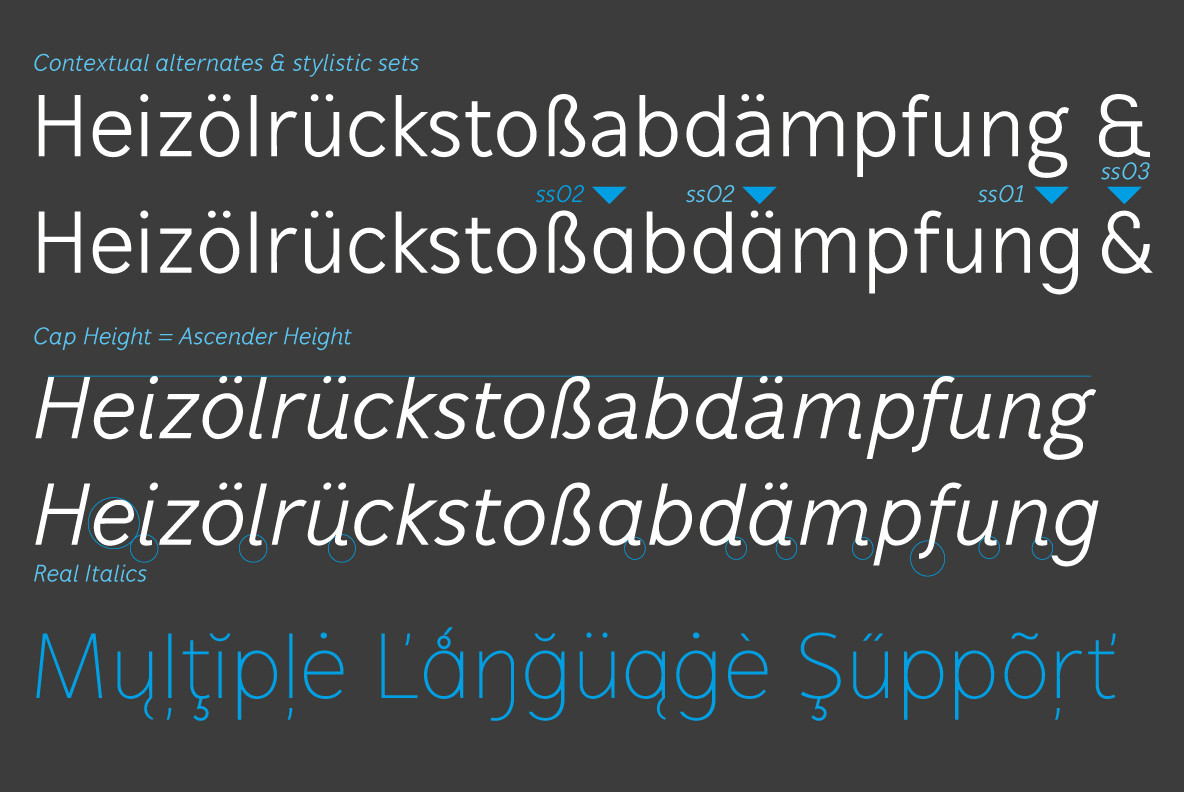 Mucho Sans Mucho Sans