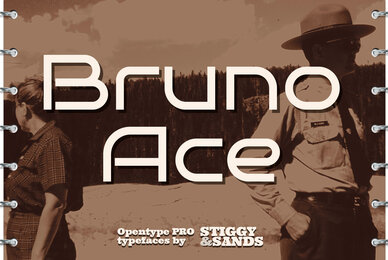 Bruno Ace Pro