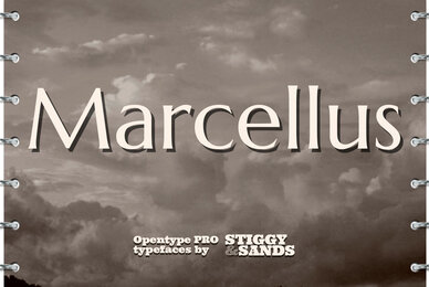Marcellus Pro