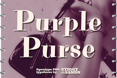 Purple Purse Pro