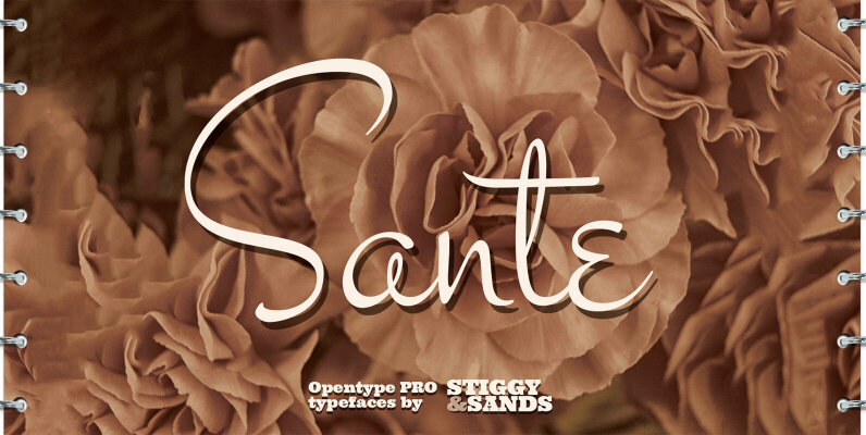 Sante Pro