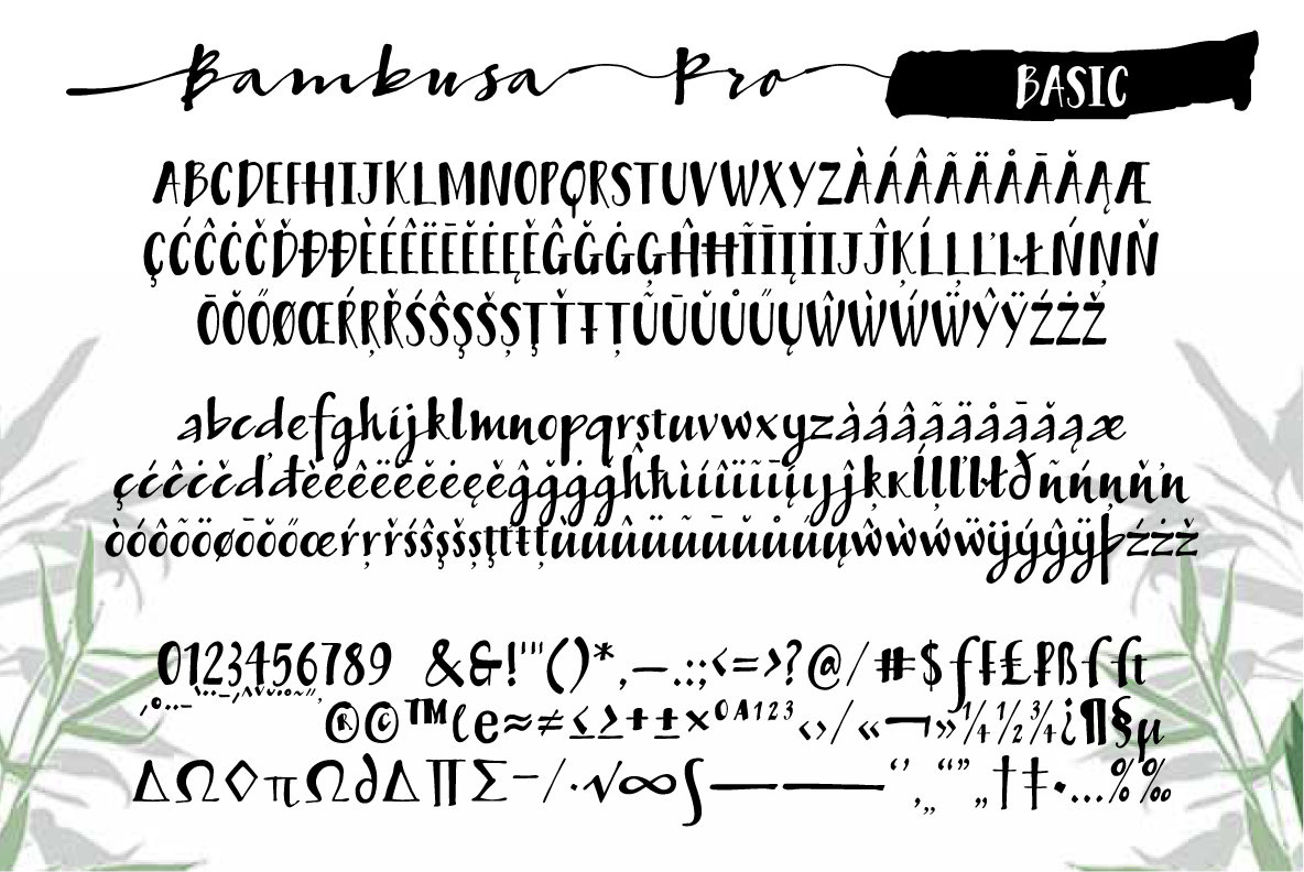 Bambusa Pro Bambusa Pro