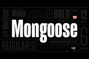 Mongoose