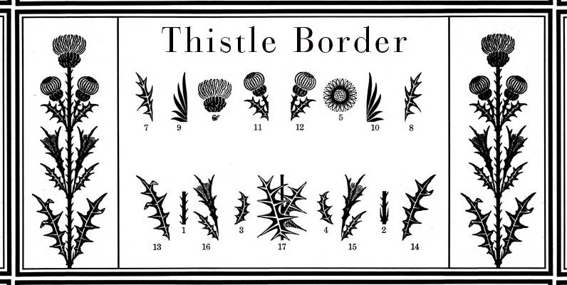 Thistle Borders