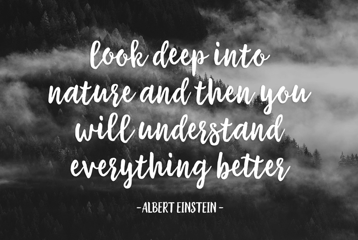 The Sweetest Thing 7