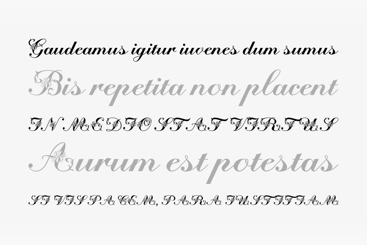Floral Script Floral Script