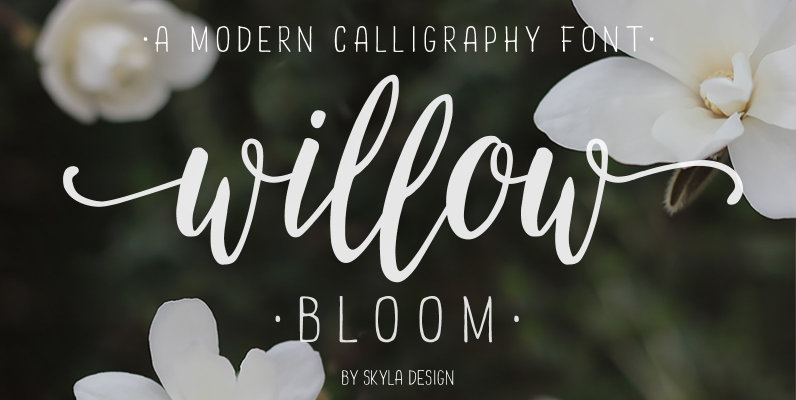 Willow Bloom