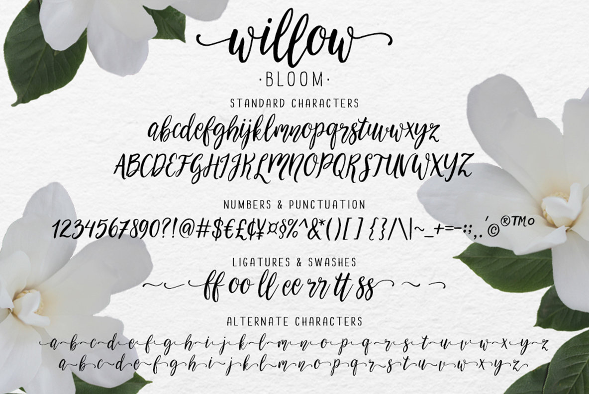 Willow Bloom 5