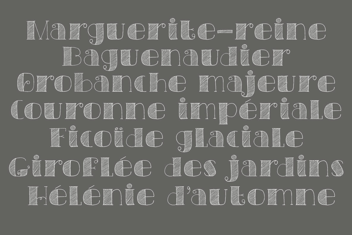 Carte Blanche Carte Blanche