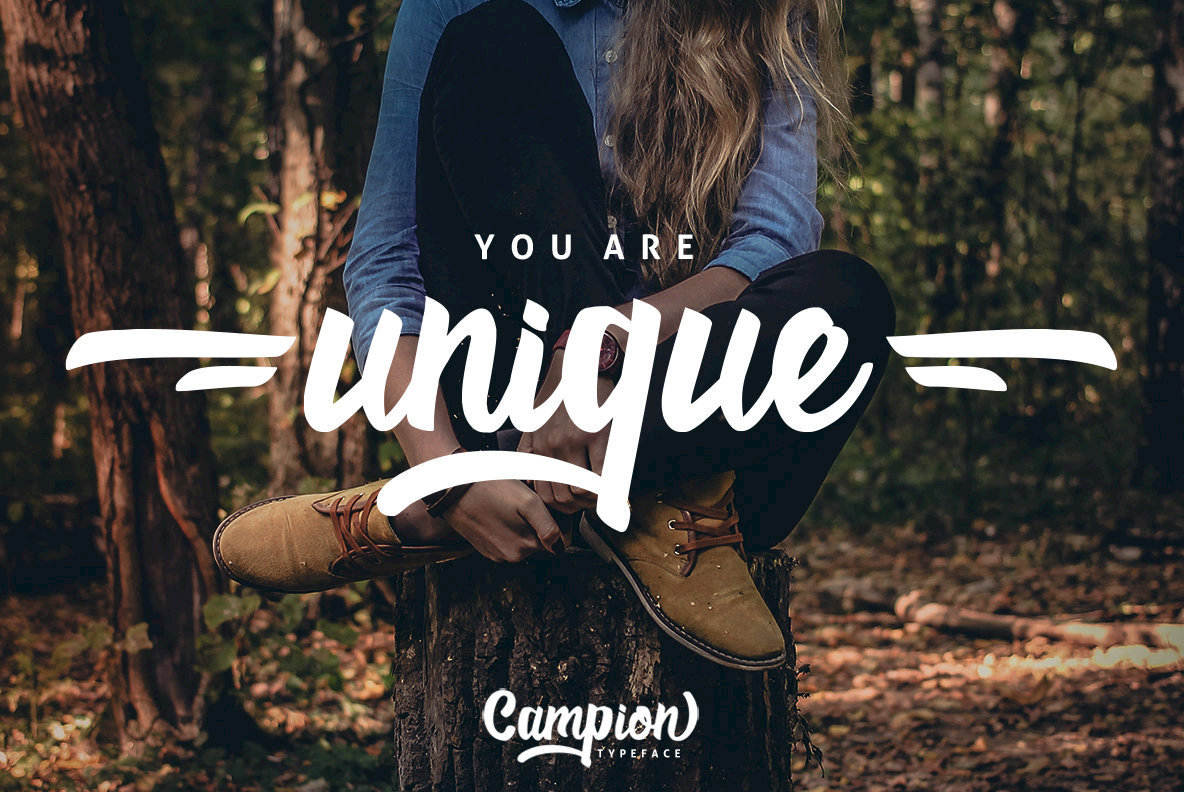 Campion Typeface 2