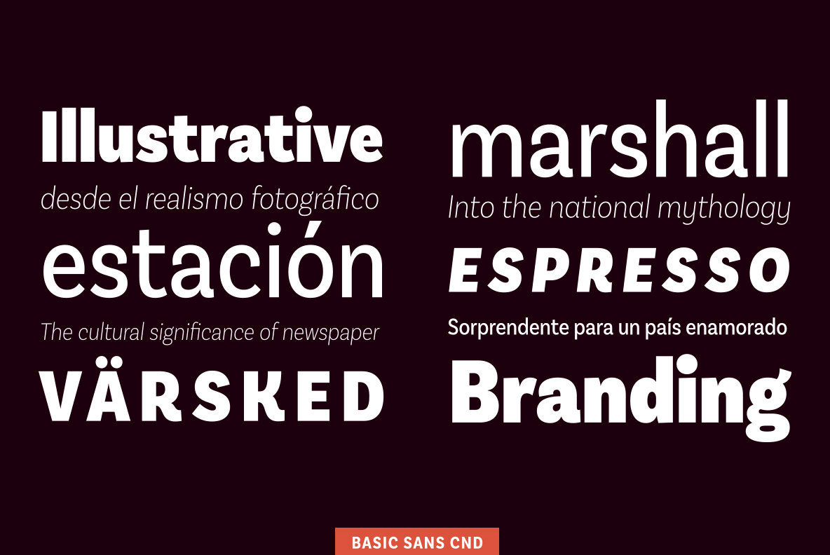Basic Sans Cnd 2