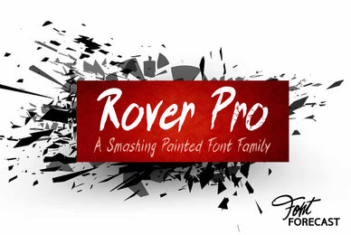Rover Pro