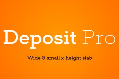 Deposit Pro