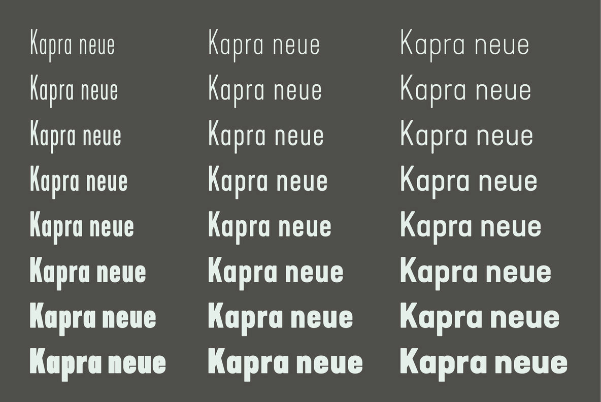 Kapra Neue 3