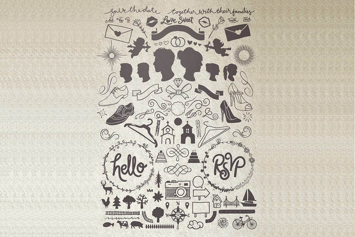 The Bride and The Groom 5