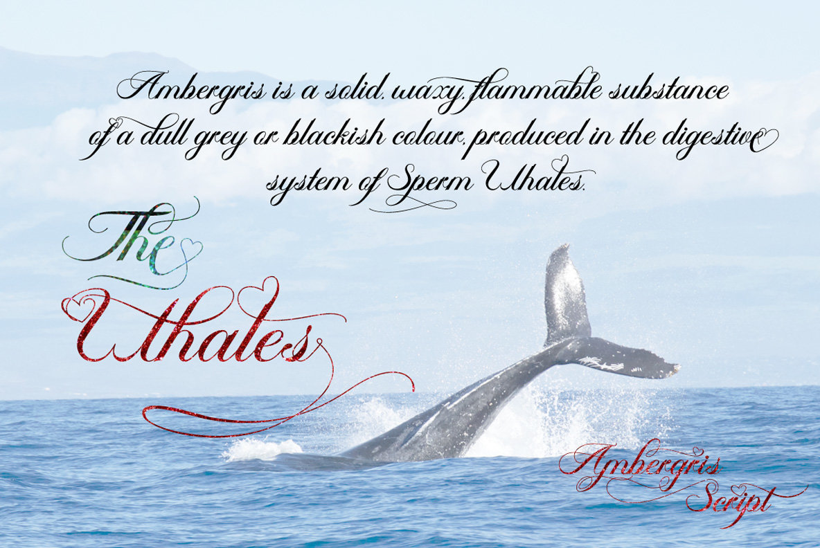 Ambergris 3