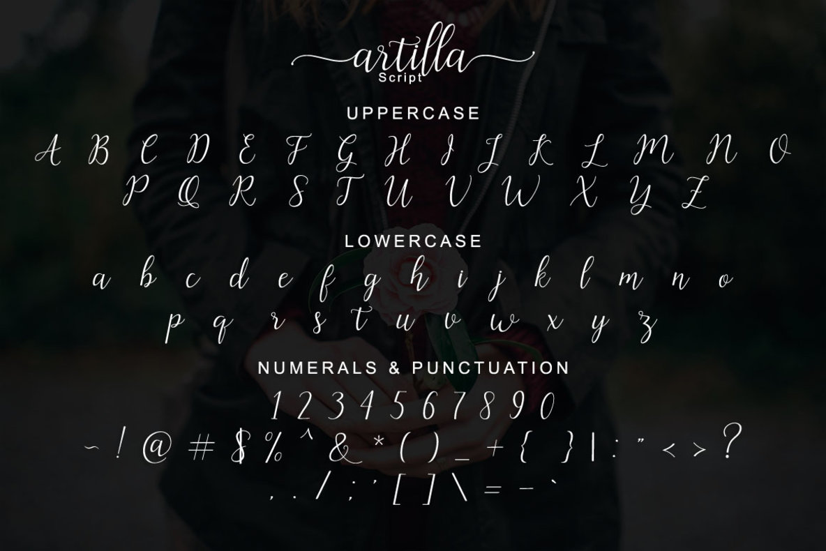 Artilla Script 6