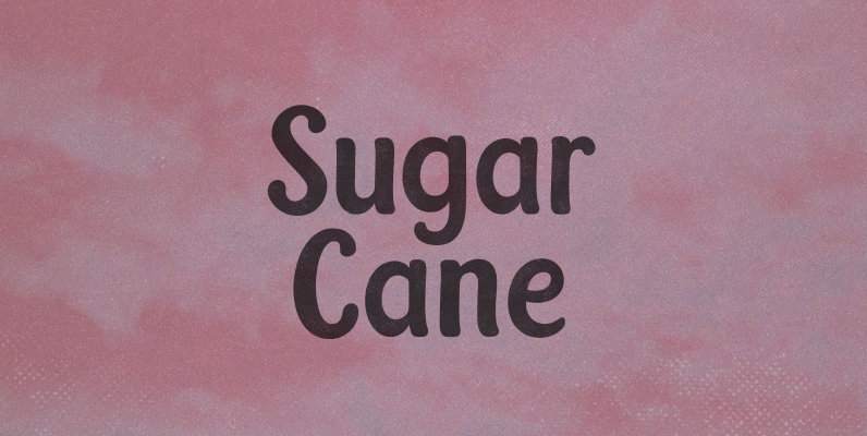 Sugar Cane